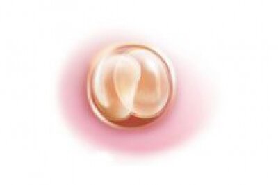 2 неделя беременности видео