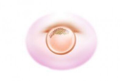 4 неделя беременности видео